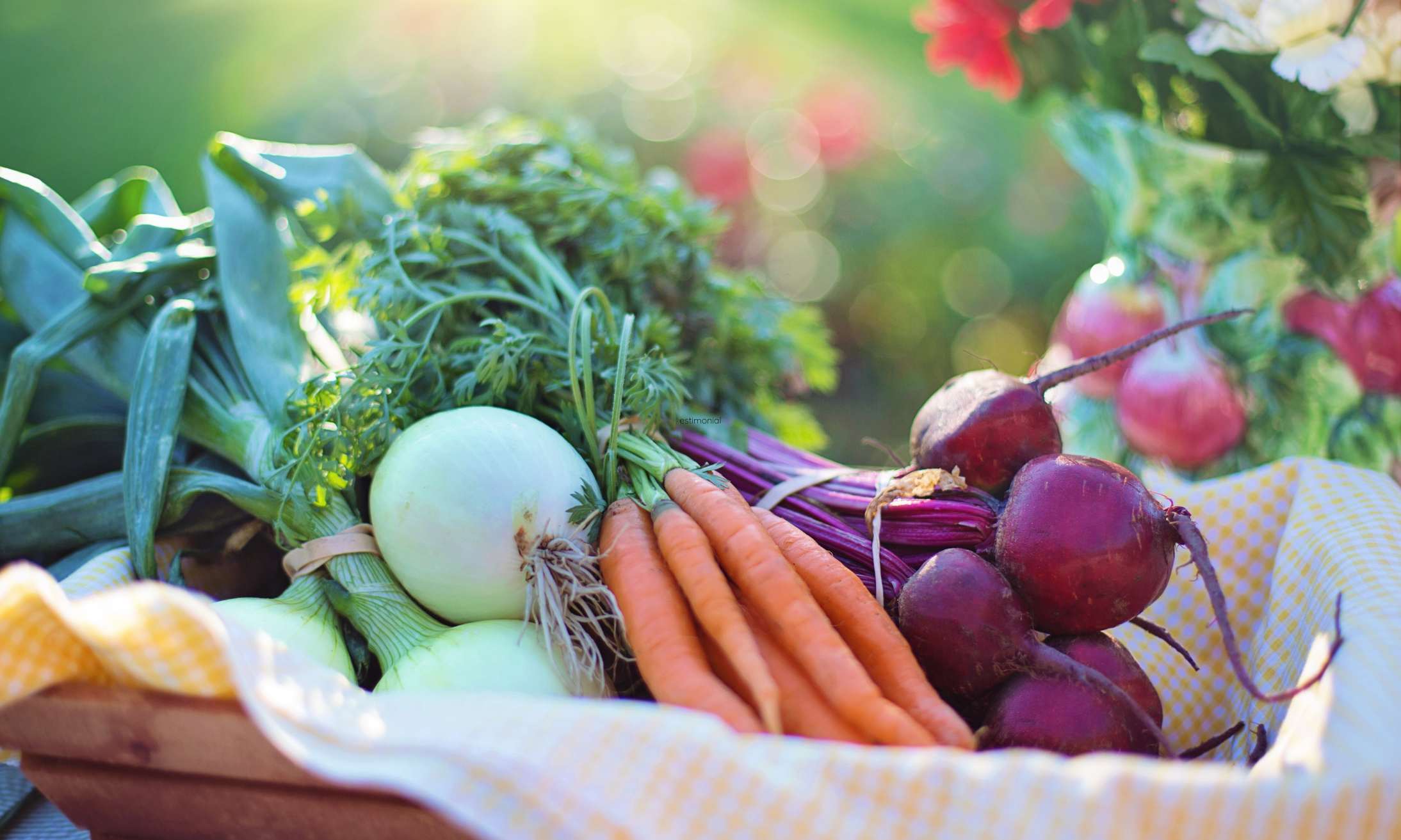nutrition